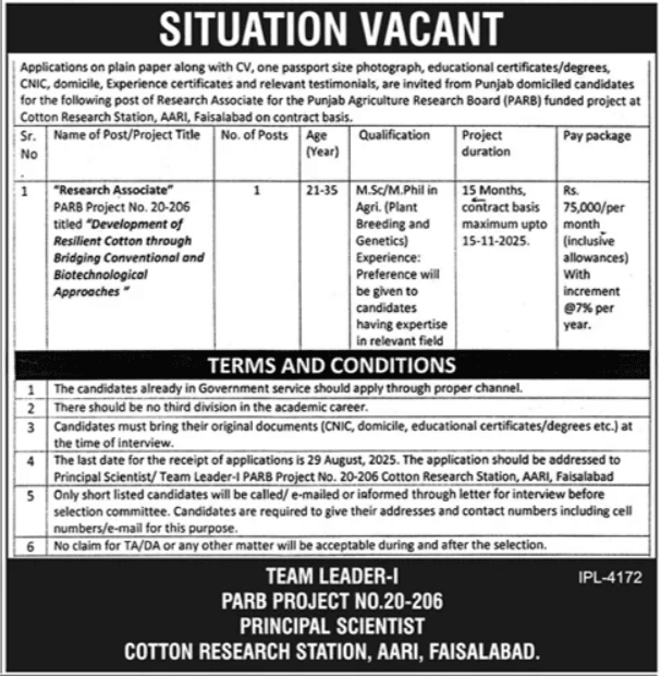 Government Organization Faisalabad Job 2025