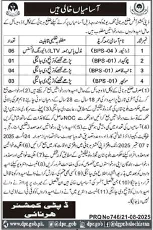 Revenue Department Harnai Jobs 2025