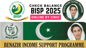 Read more about the article BISP 8171 March 2025 Payment Eligibility