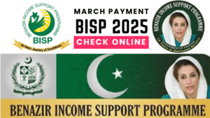 Read more about the article BISP-8171 March 2025 Payment Eligibility