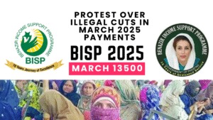 Read more about the article BISP Check Balance Online by CNIC