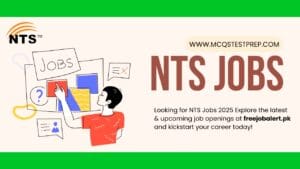 Read more about the article NTS