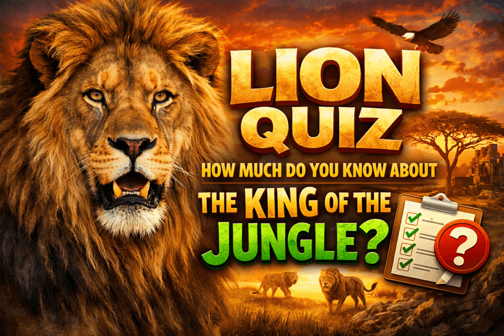 Lion Quiz