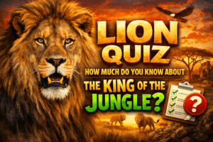 Read more about the article Ultimate Lion Trivia: Only Animal Experts Score 10/10!
