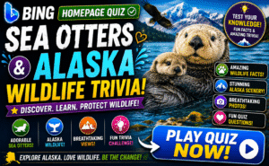 Read more about the article Bing Homepage Quiz – Sea Otters & Alaska Wildlife Trivia