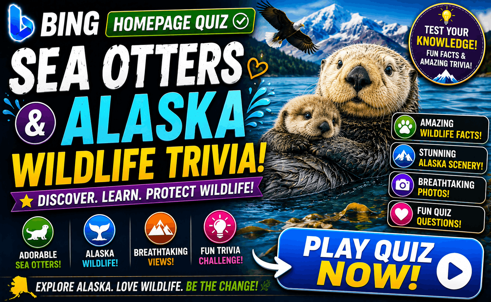 Read more about the article Bing Homepage Quiz – Sea Otters & Alaska Wildlife Trivia