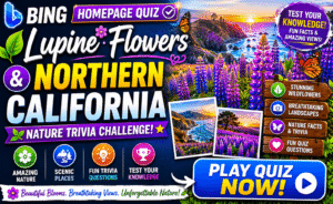 Read more about the article Bing Homepage Quiz — Lupine Flowers & Northern California Nature Trivia