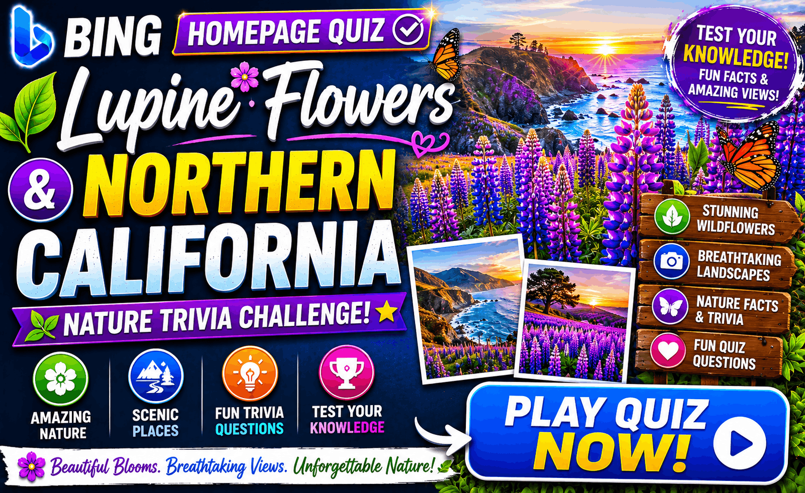 Read more about the article Bing Homepage Quiz — Lupine Flowers & Northern California Nature Trivia