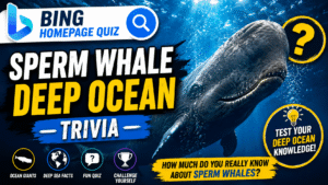Read more about the article Bing Homepage Quiz — Sperm Whale Deep Ocean Trivia