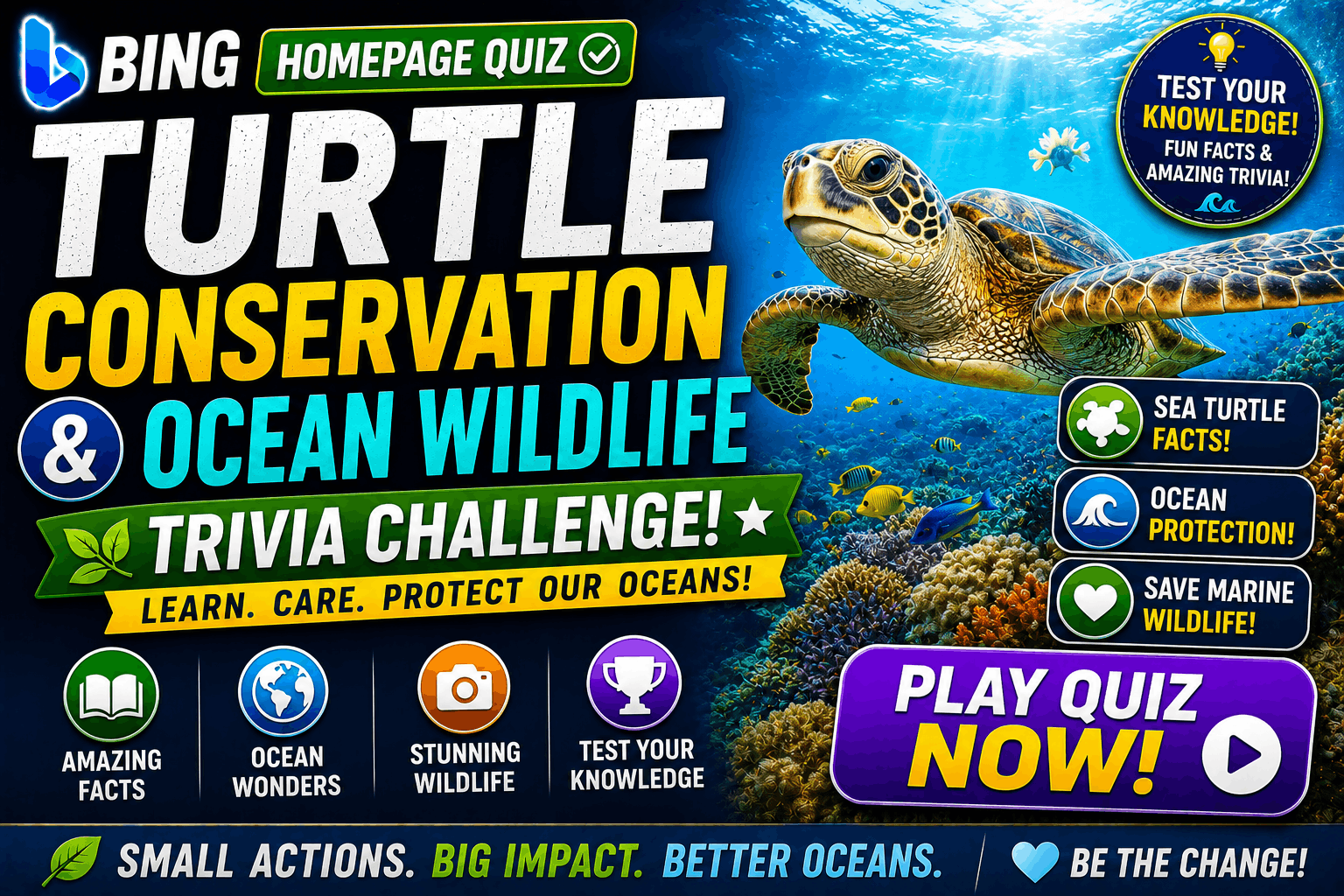 Read more about the article Bing Homepage Quiz – Turtle Conservation & Ocean Wildlife Trivia
