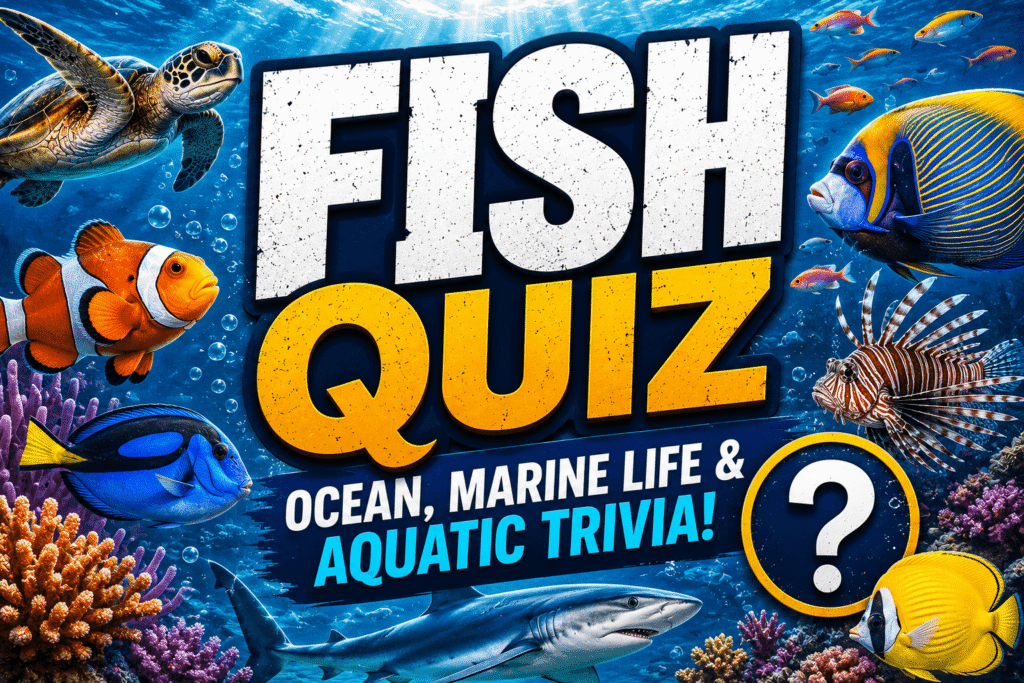 Fish Quiz – Test Your Marine Life Knowledge