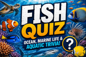 Read more about the article Fish Quiz – Test Your Marine Life Knowledge