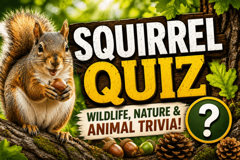 Squirrel Quiz | Wildlife, Nature & Animal Trivia
