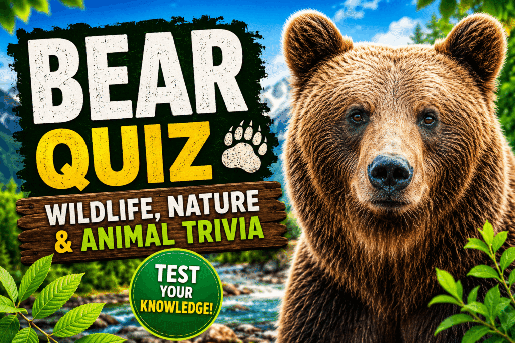 Bear Quiz – Test Your Wildlife Knowledge