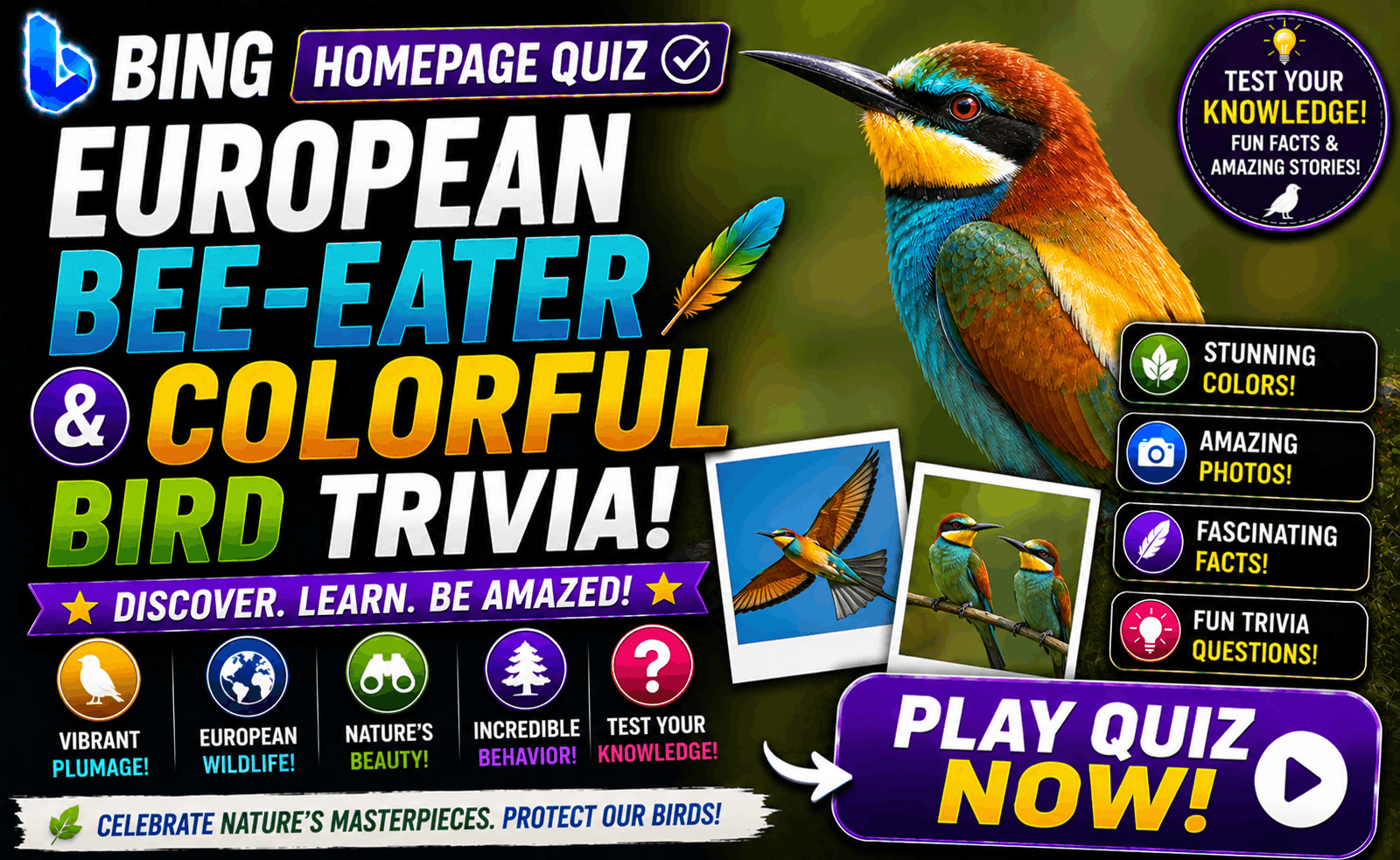 Read more about the article Bing Homepage Quiz — European Bee-Eater & Colorful Bird Trivia