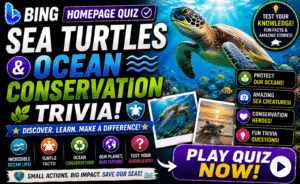 Read more about the article Bing Homepage Quiz — Sea Turtles & Ocean Conservation Trivia