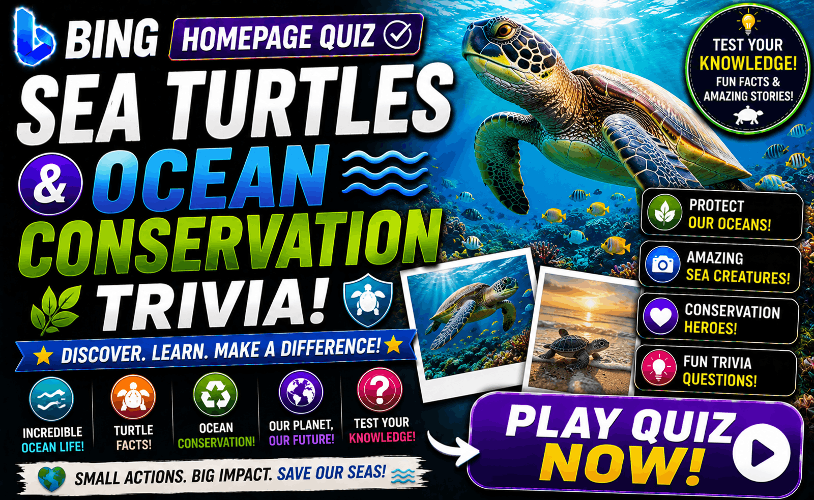 Read more about the article Bing Homepage Quiz — Sea Turtles & Ocean Conservation Trivia