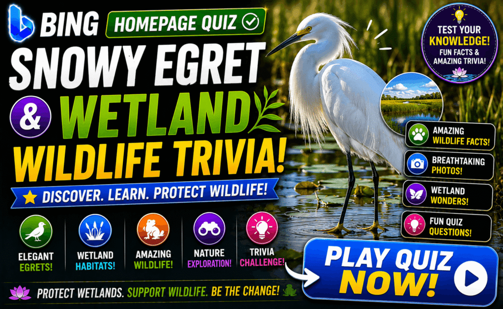 Bing Homepage Quiz — Snowy Egret & Wetland Wildlife Trivia
