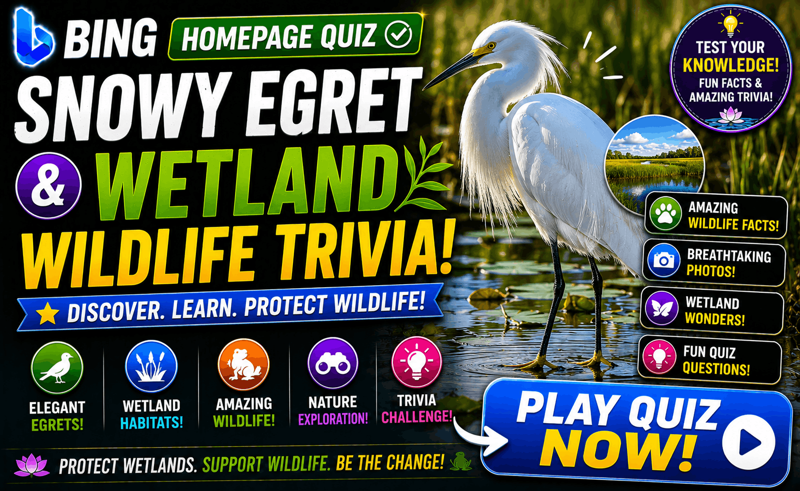 Read more about the article Bing Homepage Quiz — Snowy Egret & Wetland Wildlife Trivia