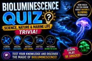 Read more about the article Bioluminescence Quiz – Test Your Science Knowledge