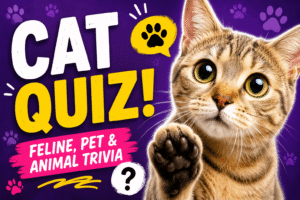 Read more about the article Cat Quiz – Test Your Feline Knowledge