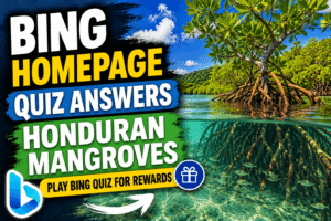 Read more about the article Bing Homepage Quiz Answers – Honduran Mangroves | Play Bing Quiz for Rewards