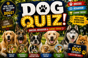 Read more about the article Dog Quiz – Test Your Dog Knowledge